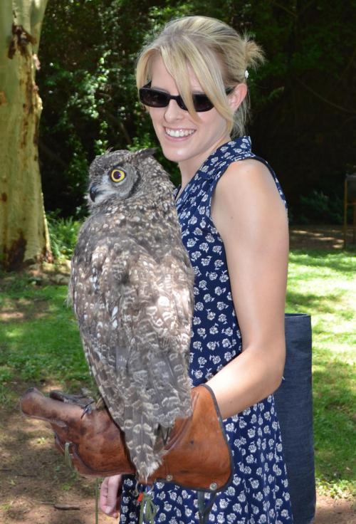 Holding a Spotted Eagle-Owl